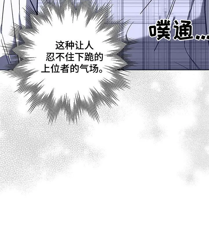 第37章：气场 第20页