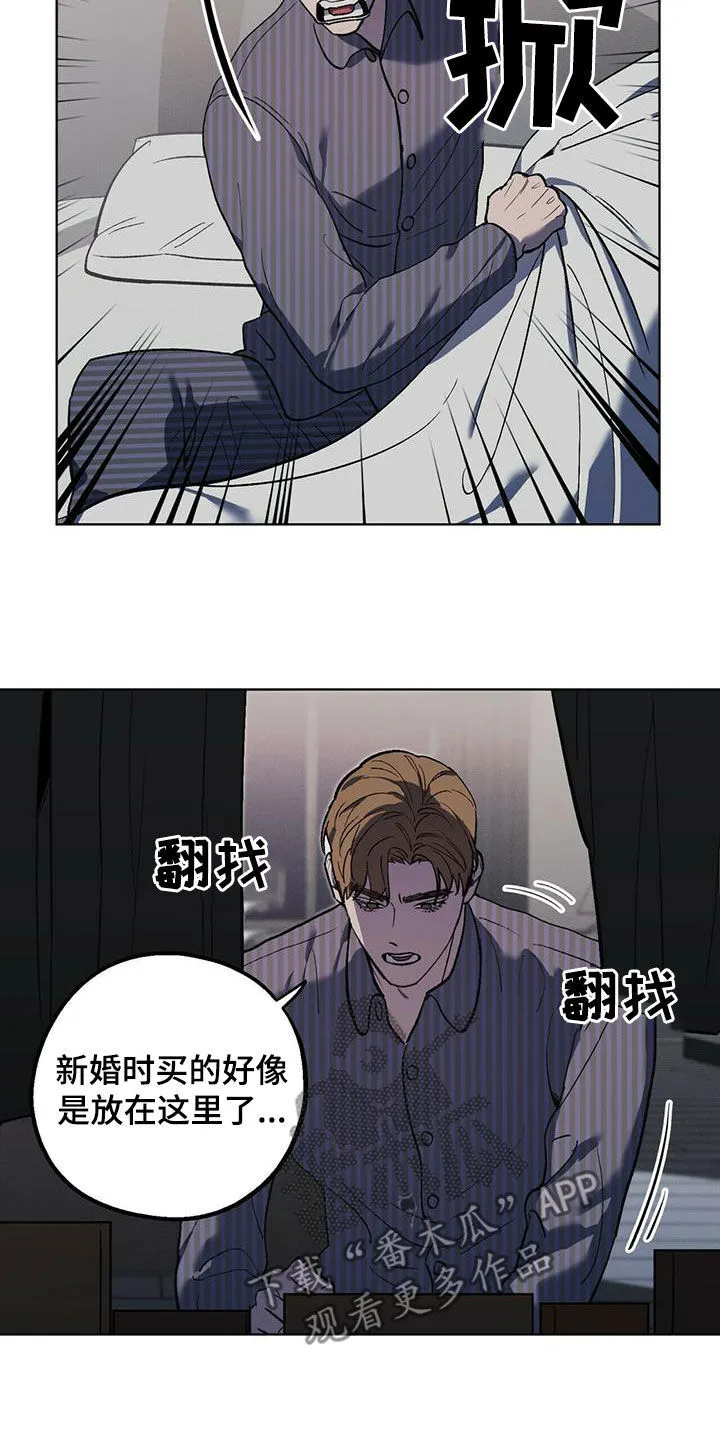 第39章：终极武器 第17页