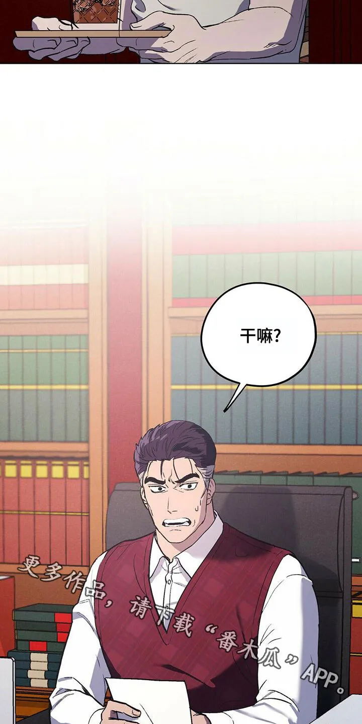 第52章：聊聊吧 第21页