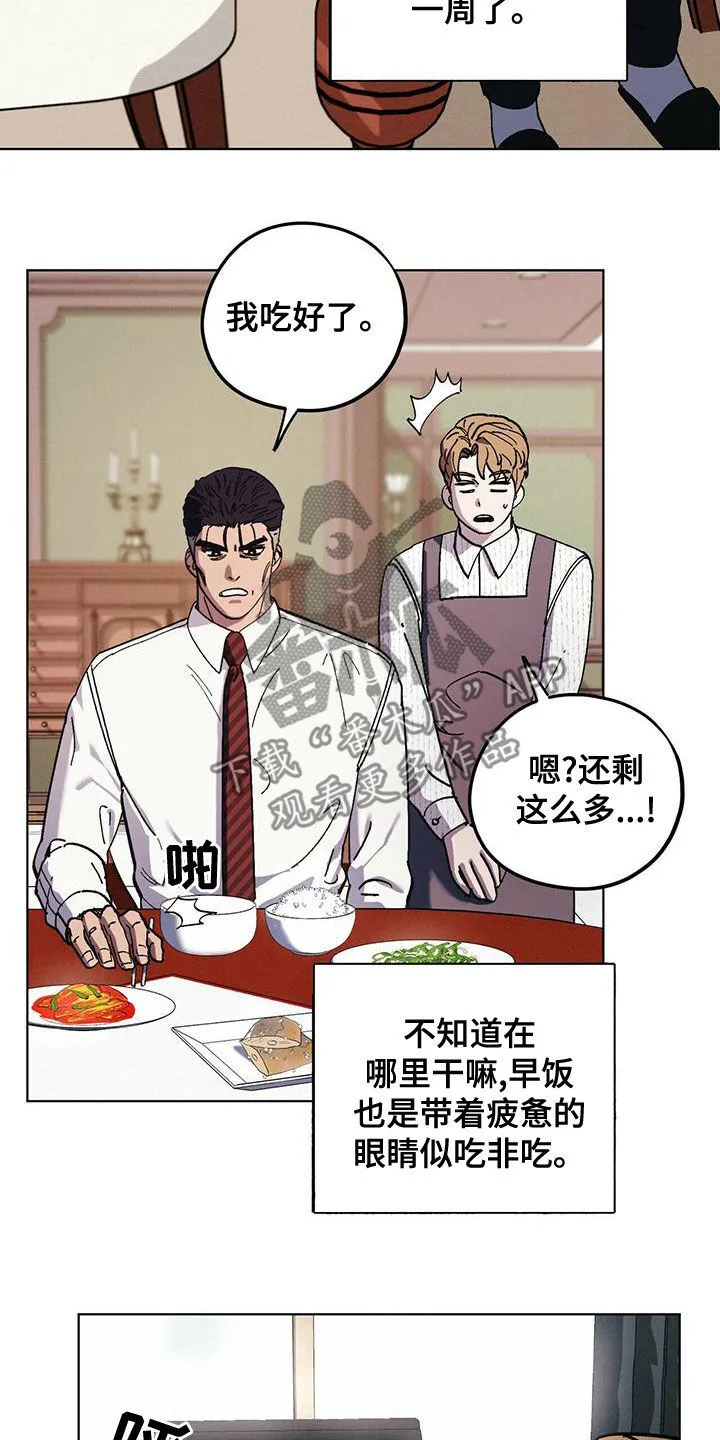 第54章：变得奇怪 第20页