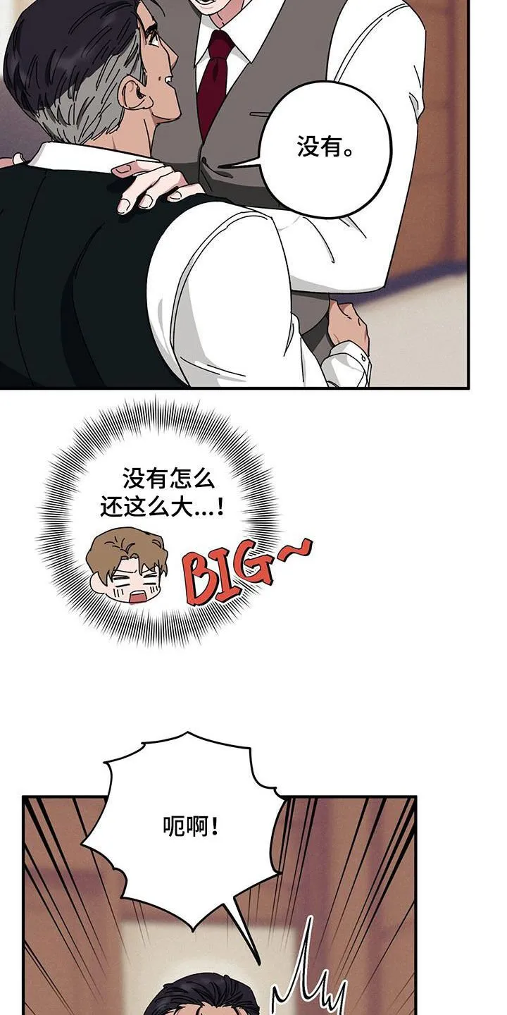 第74章：【第二季】养子 第12页