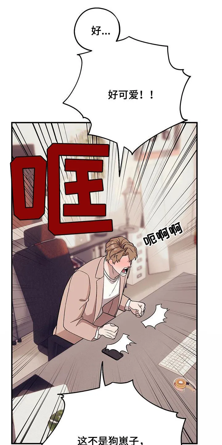第98章：【第二季】倒大霉 第19页