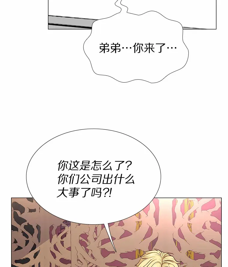 7.同类 第84页