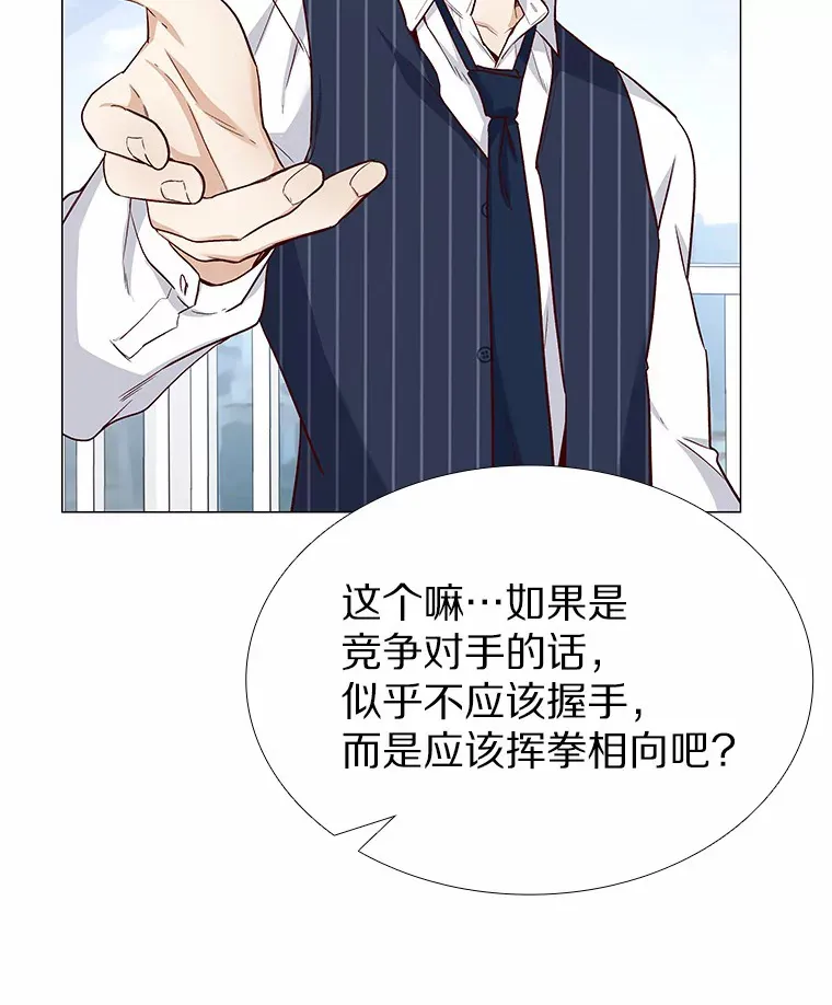 17.竞争对手 第91页