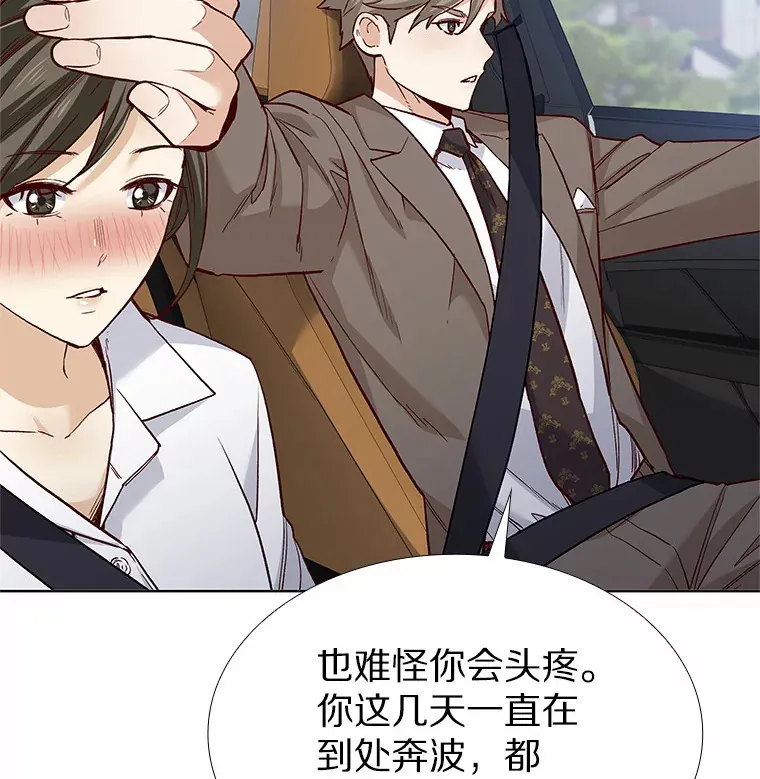 43.信赖 第21页