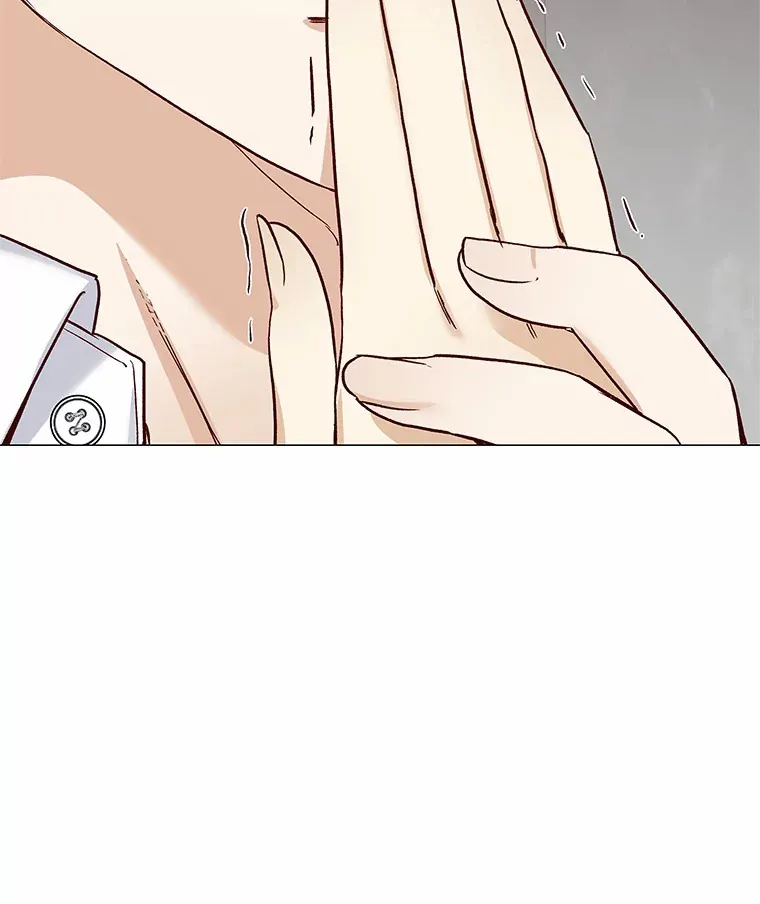 49.第一次 第85页