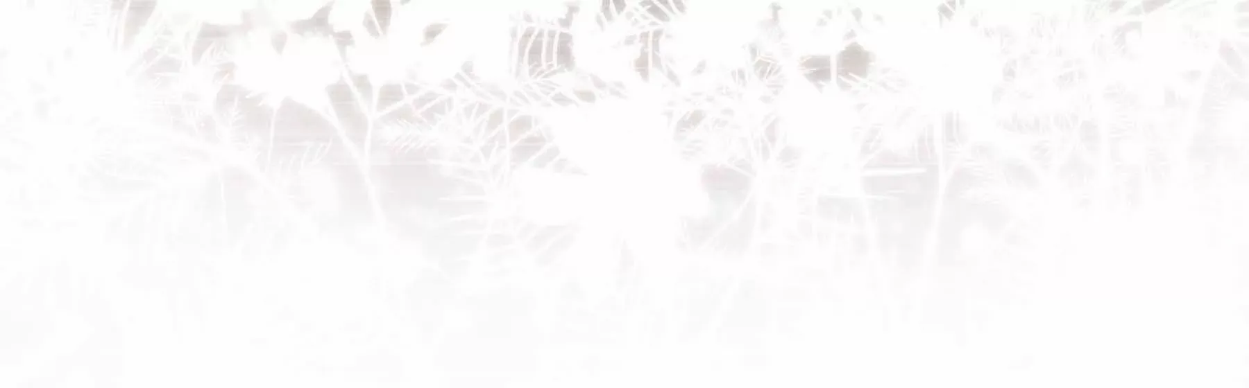 第36话 第184页