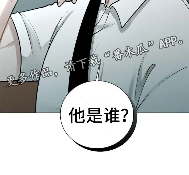第7章：他是谁 第20页