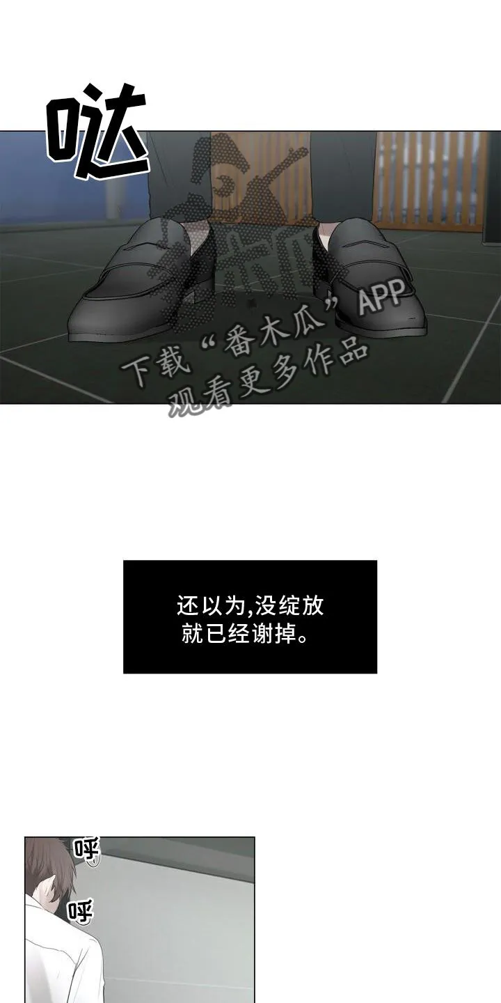 第31章：抓住 第19页