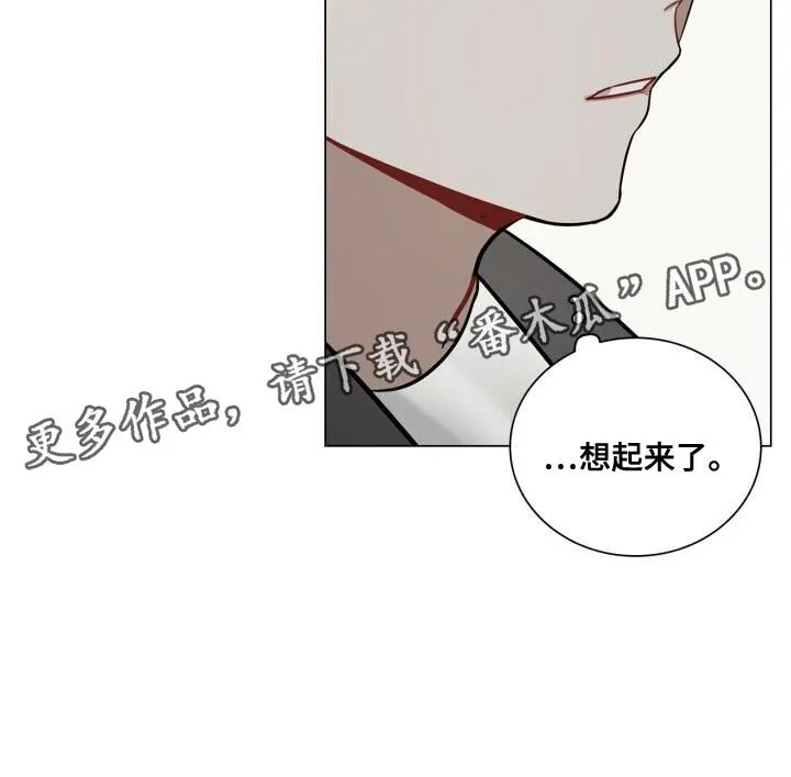 第50章：理想的恋人 第25页