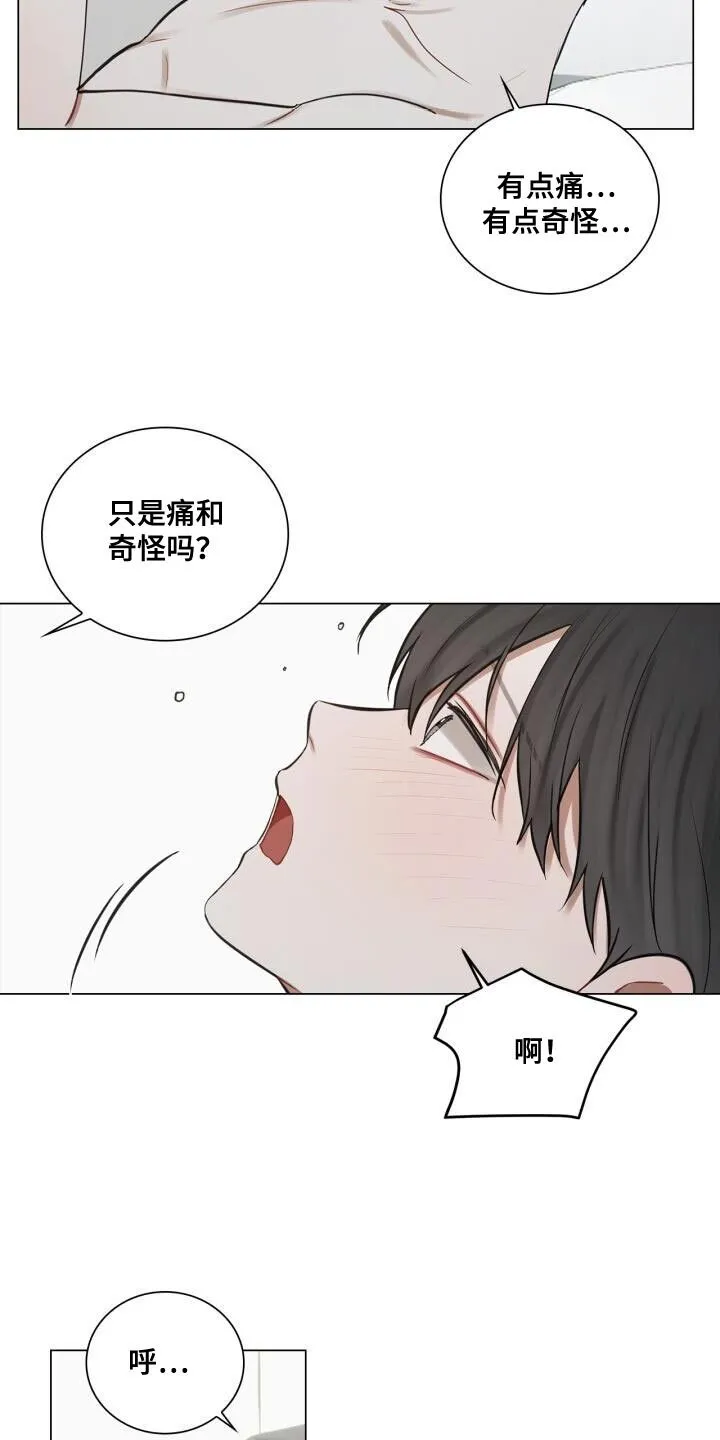 第61章：故意 第3页