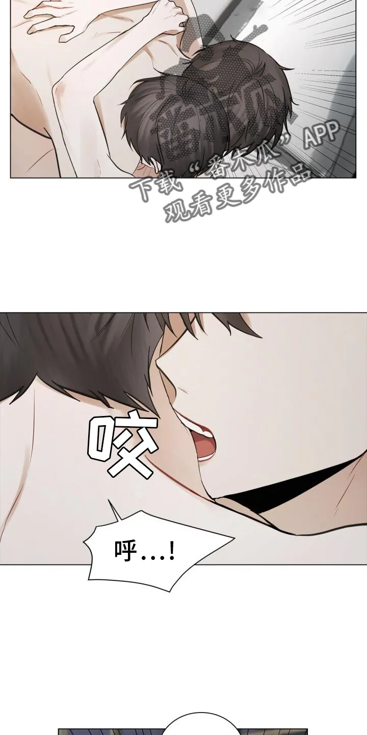 第61章：故意 第17页
