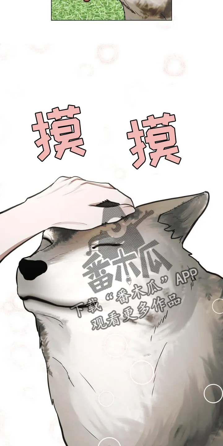 第67章：接触 第20页