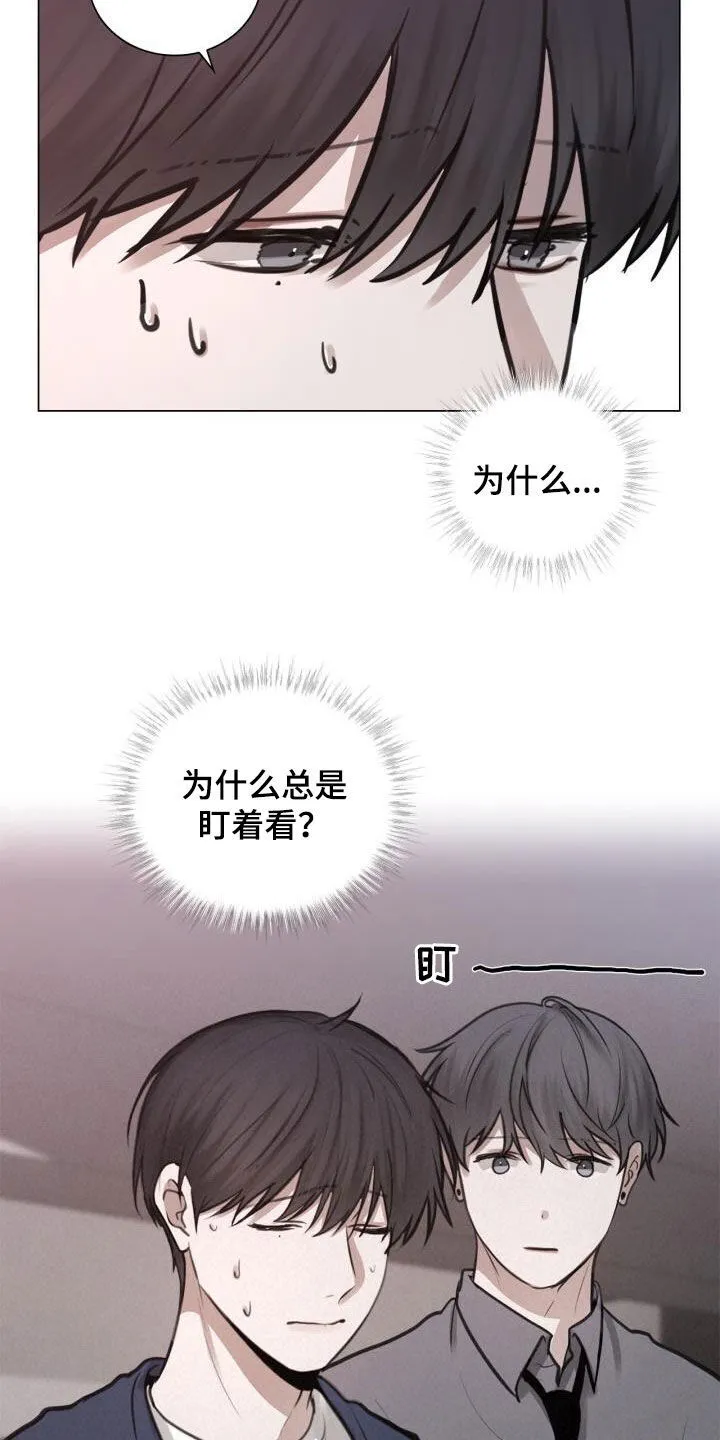 第87章：劝告 第11页