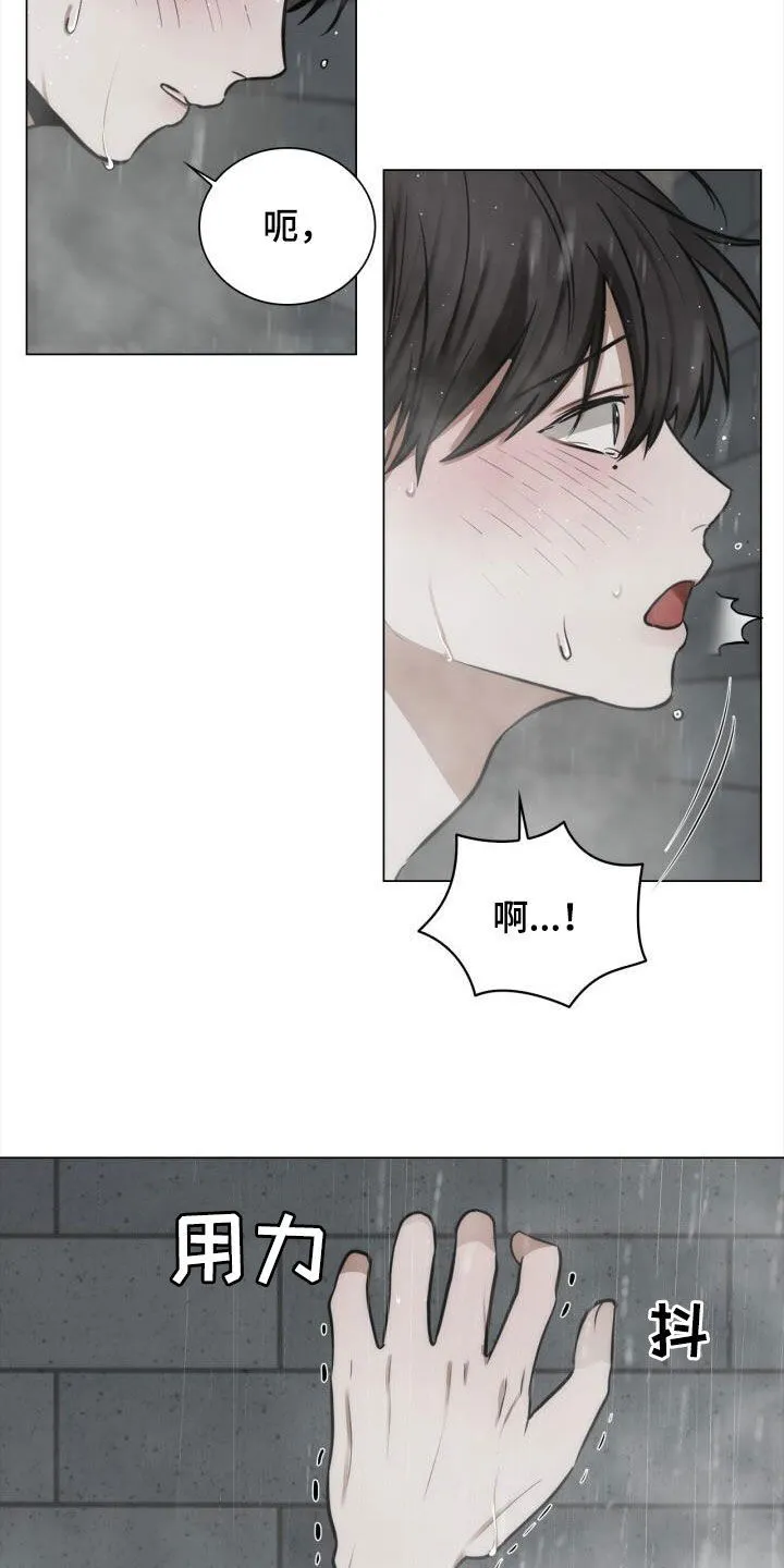 第100章：忽隐忽现 第13页