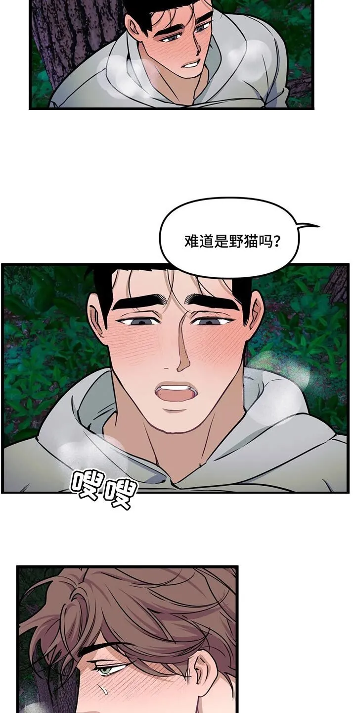 第99章：【第二季】野猫 第11页