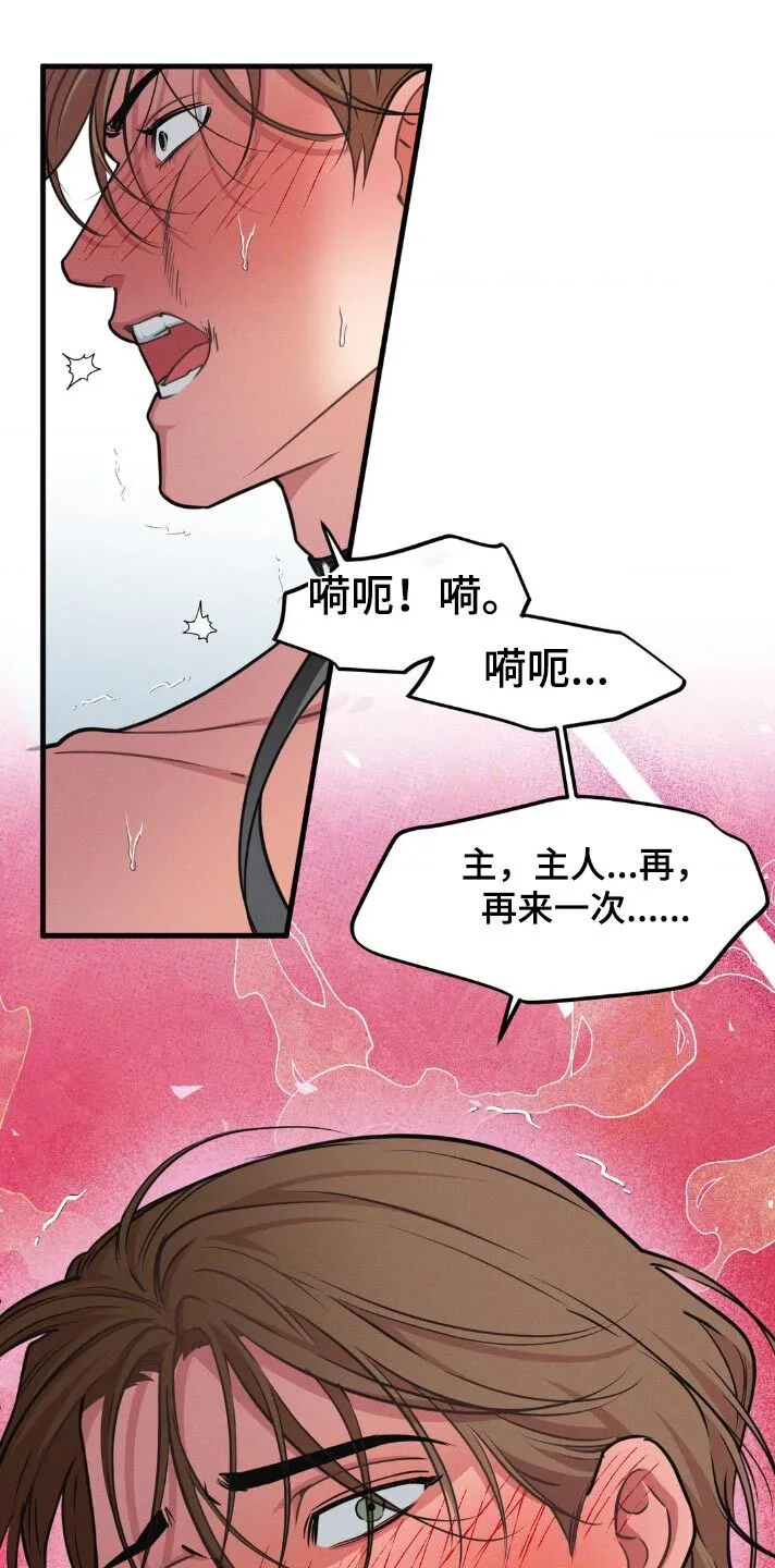 第218章：【番外】叫我主人 第5页