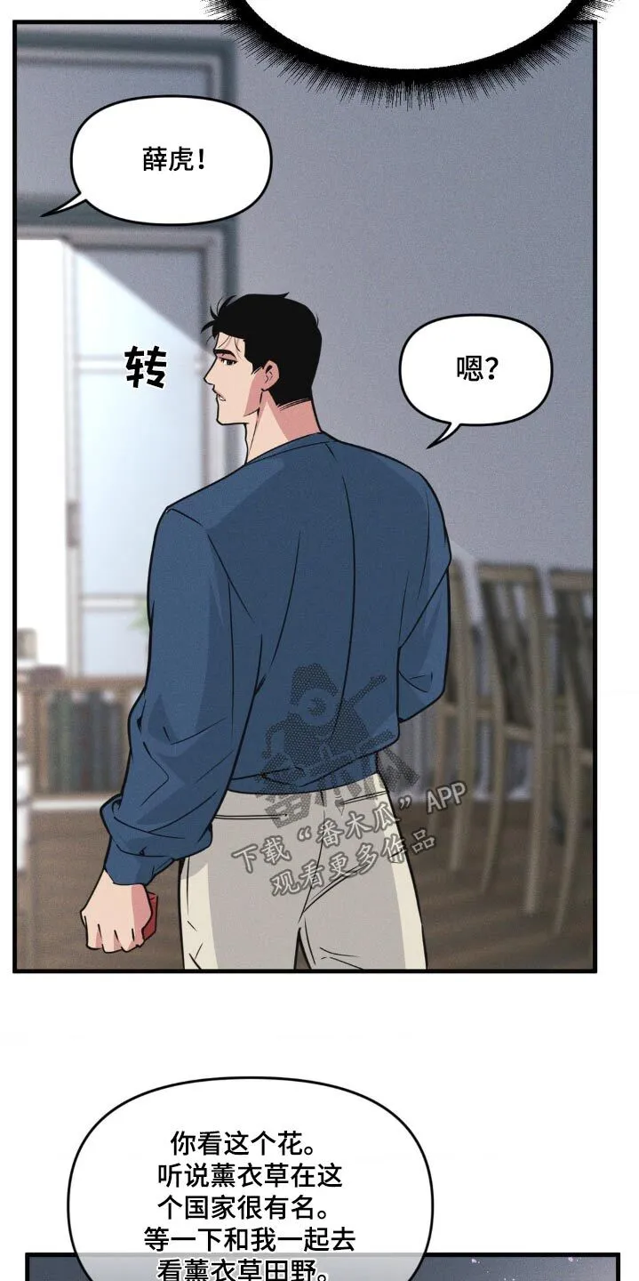 第222章：【番外】求婚 第16页