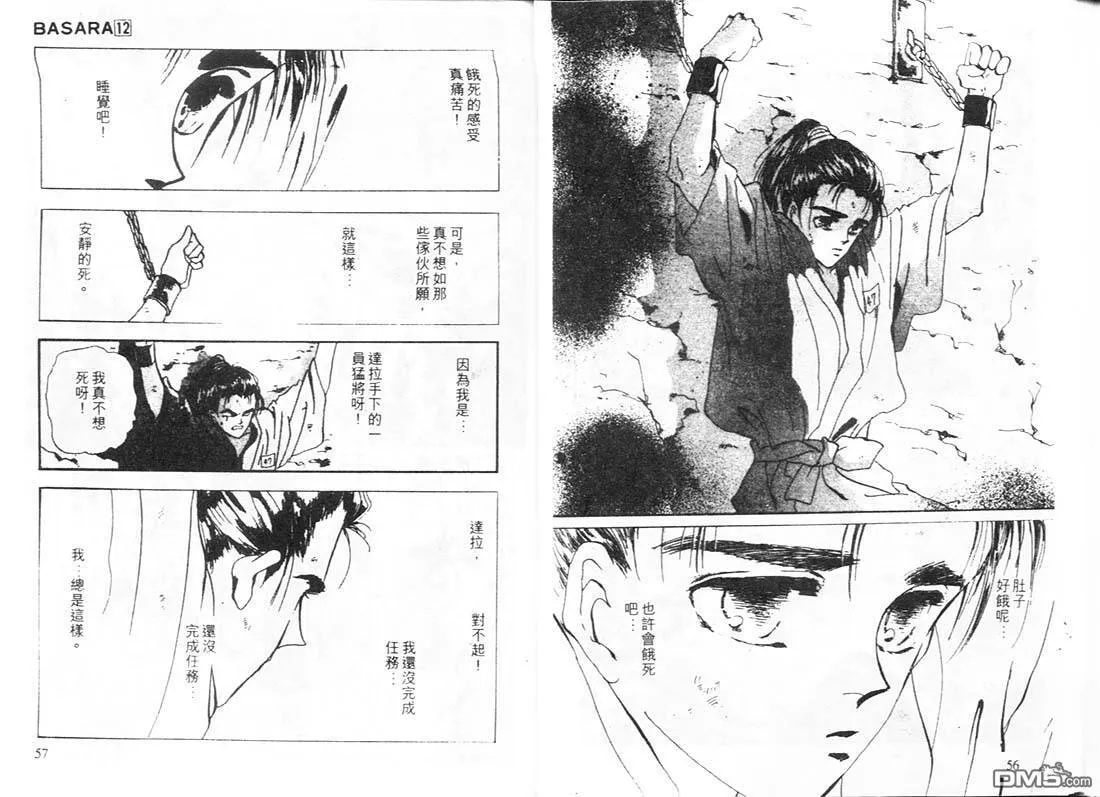 第12卷 第29页