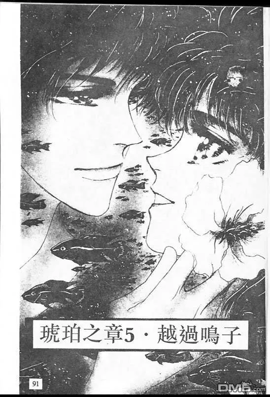 第16卷 第47页