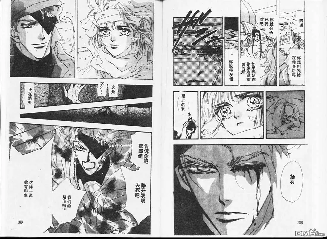 第25卷 第96页