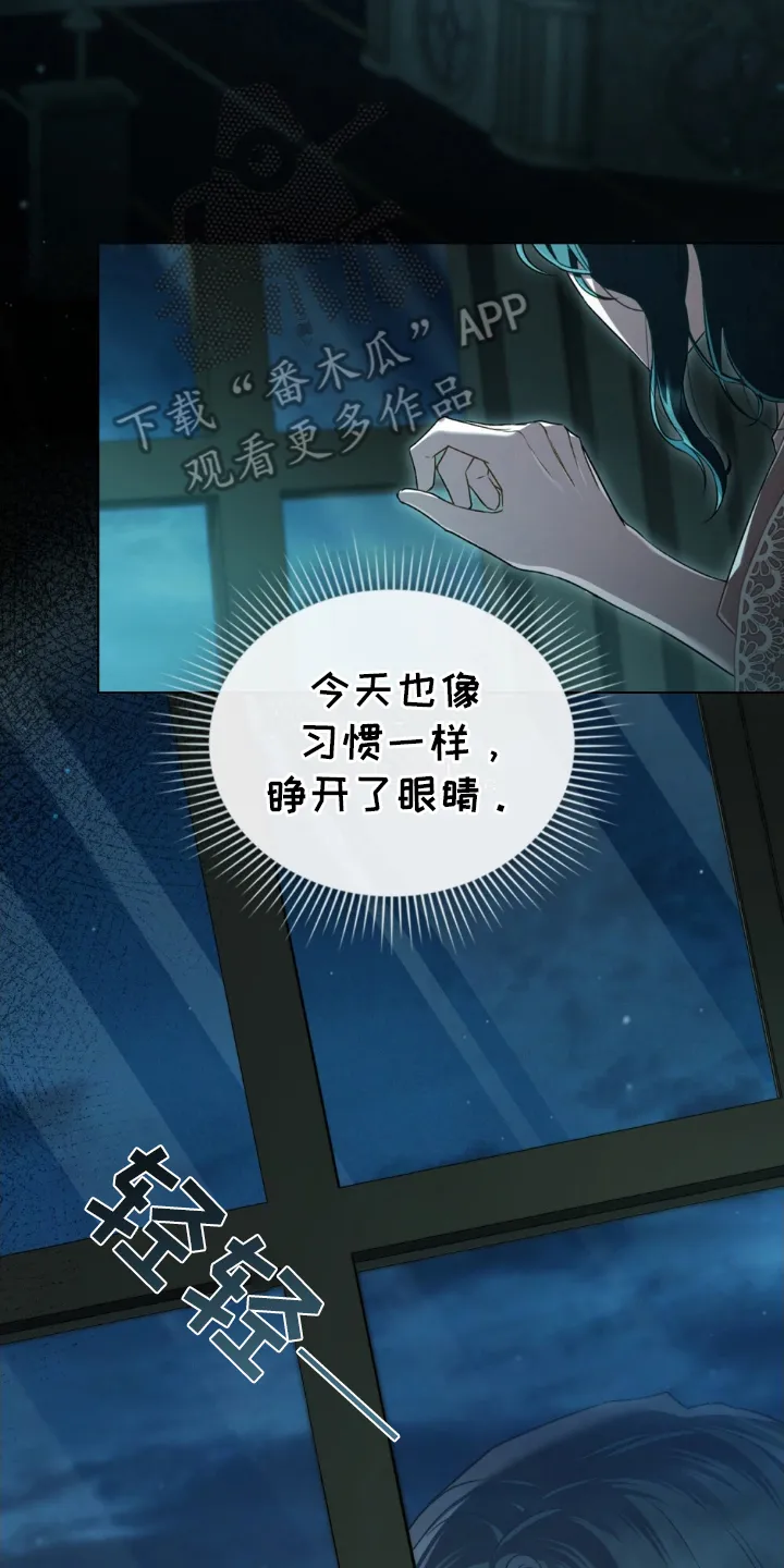 第11章：报告 第16页