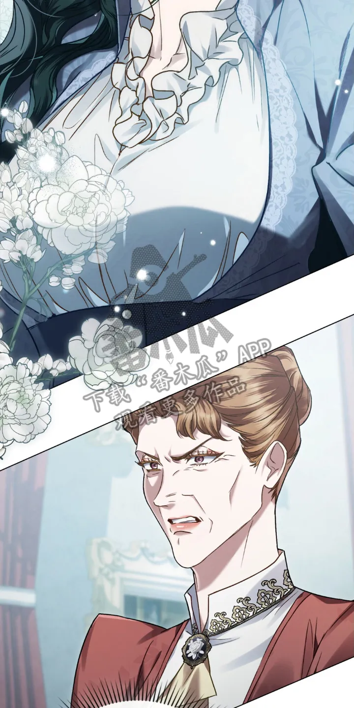 第21章：劝说 第4页