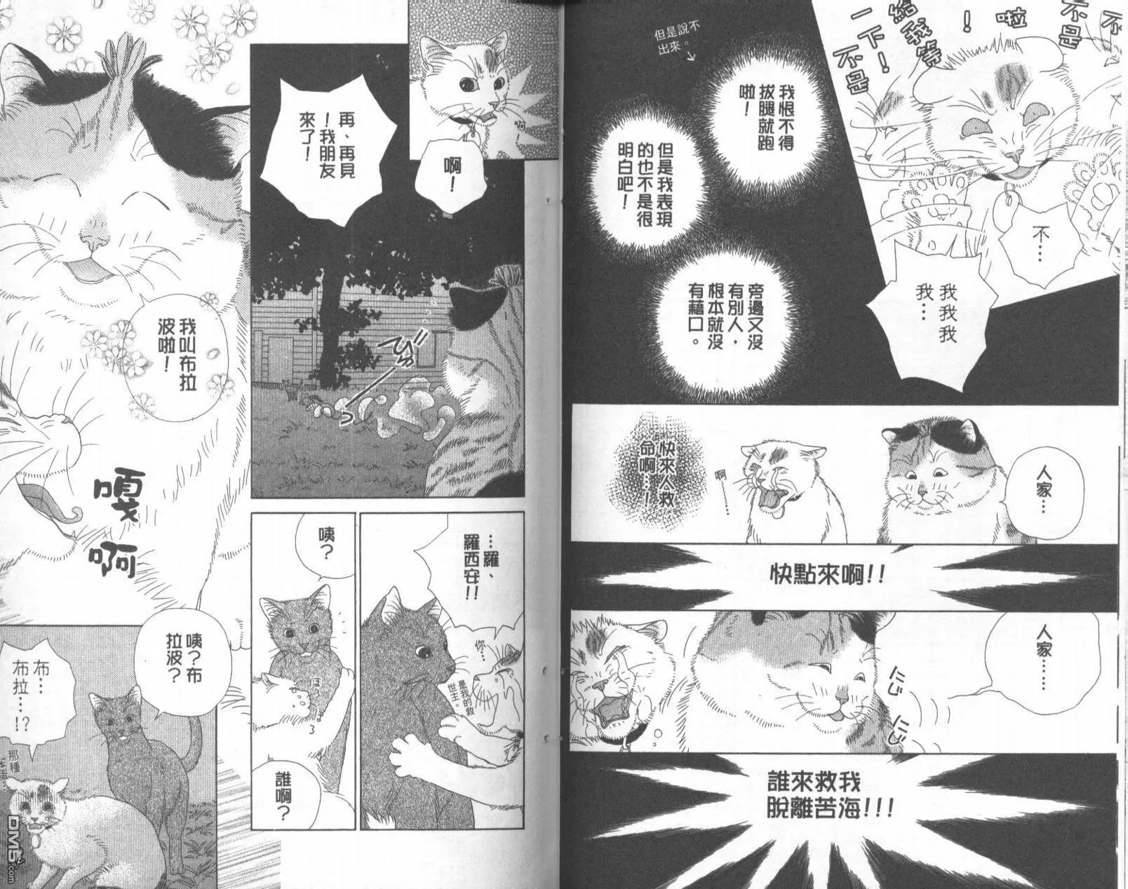 第2卷 第40页