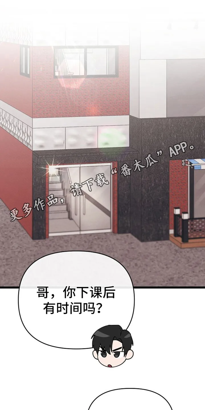第20章：下决心 第11页