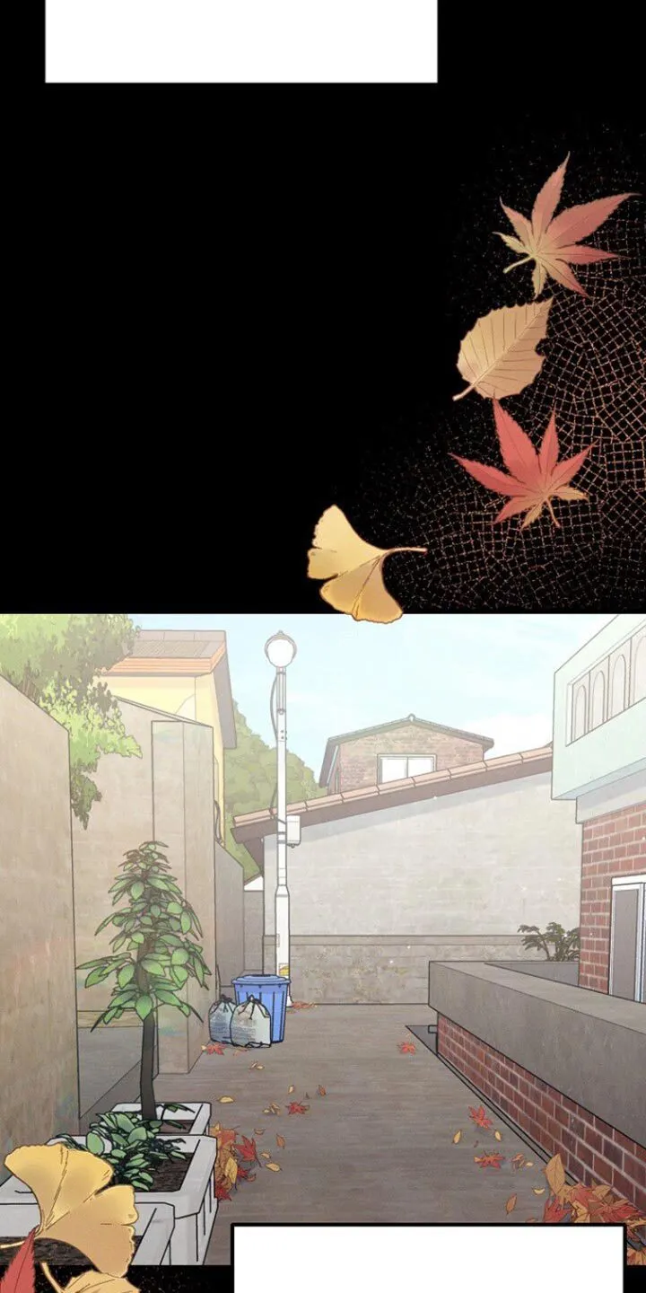 第49章：不能随便把心给任何人 第11页