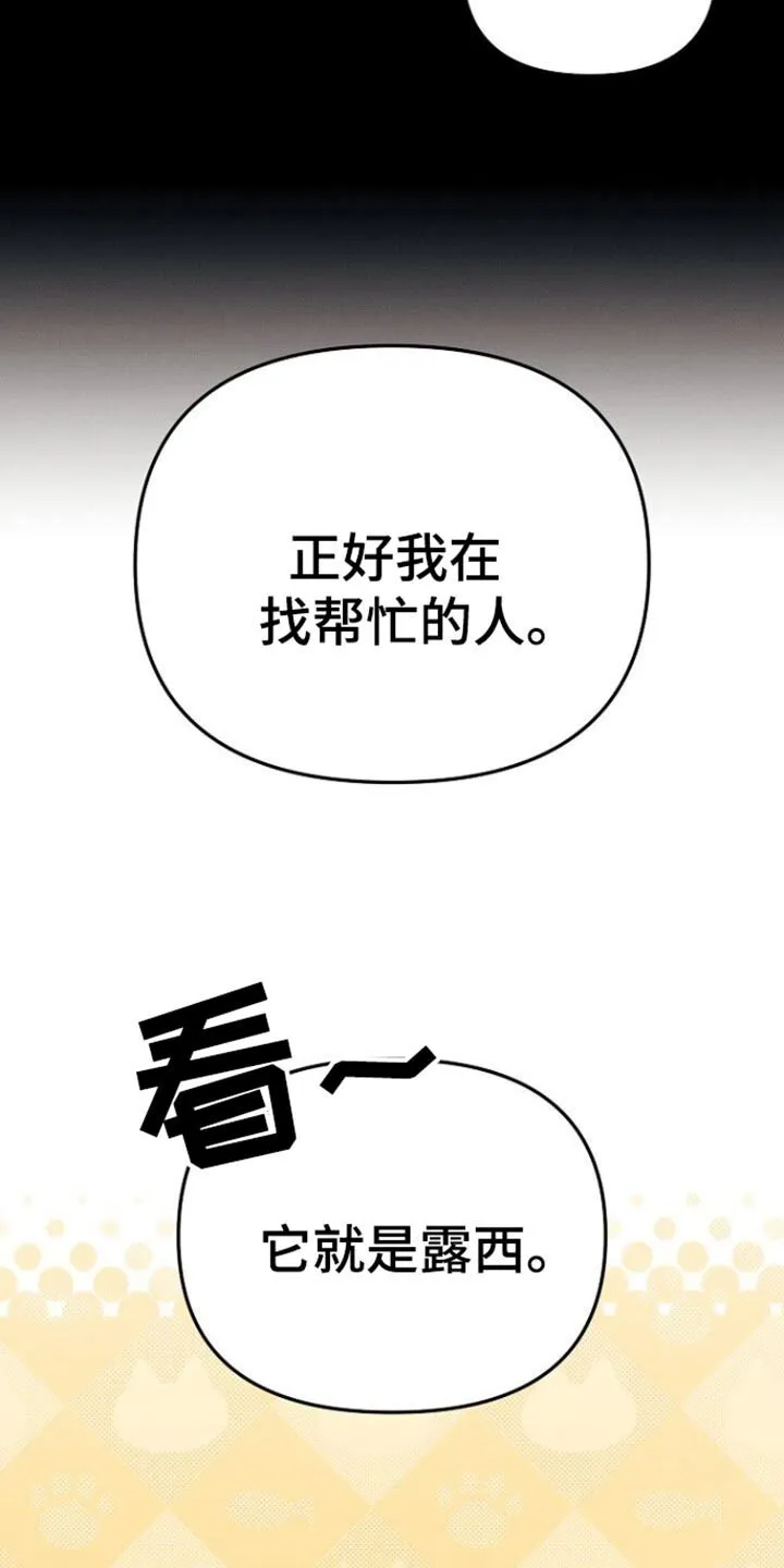 第63章：你可以再自信一点 第26页