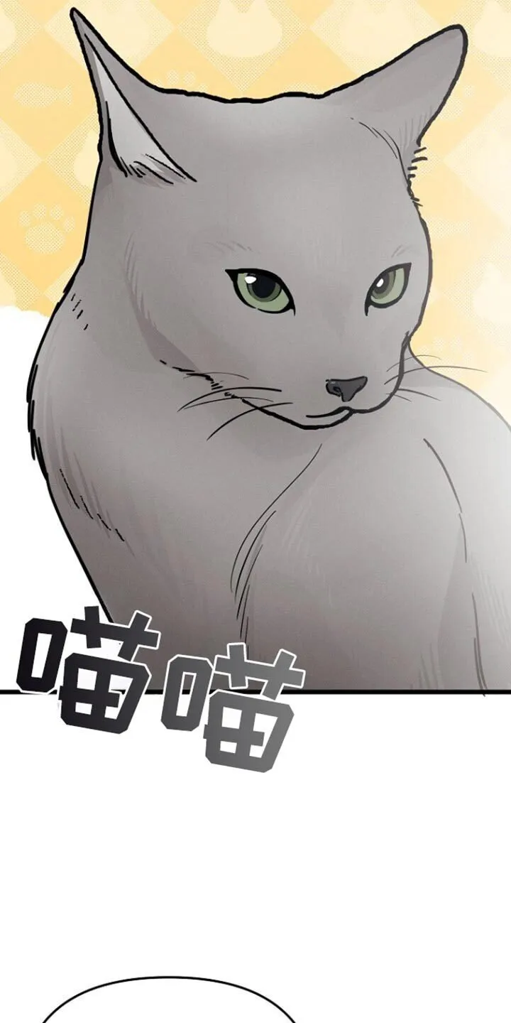 第63章：你可以再自信一点 第27页