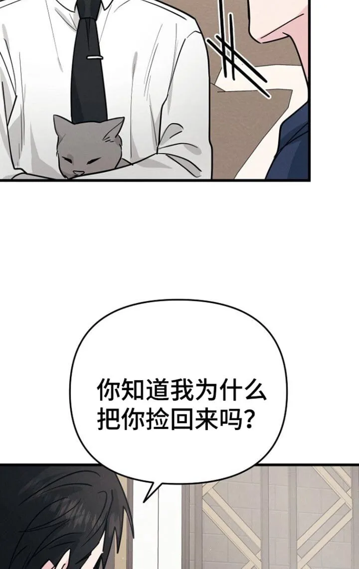 第63章：你可以再自信一点 第31页