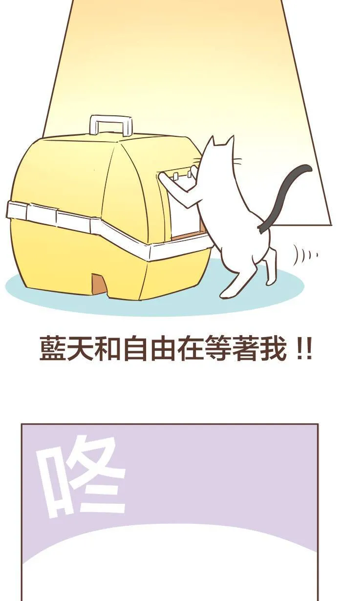 #8 等待和行动只在一念之间！ 第7页