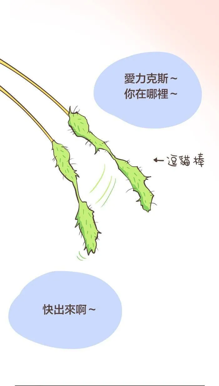 #17 人生常是：在对的时候遇到了错的人。 第1页