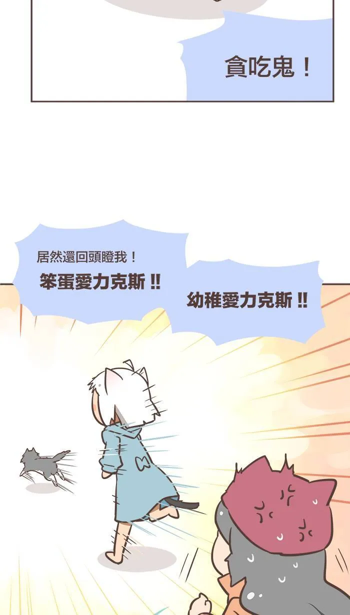 #17 人生常是：在对的时候遇到了错的人。 第6页