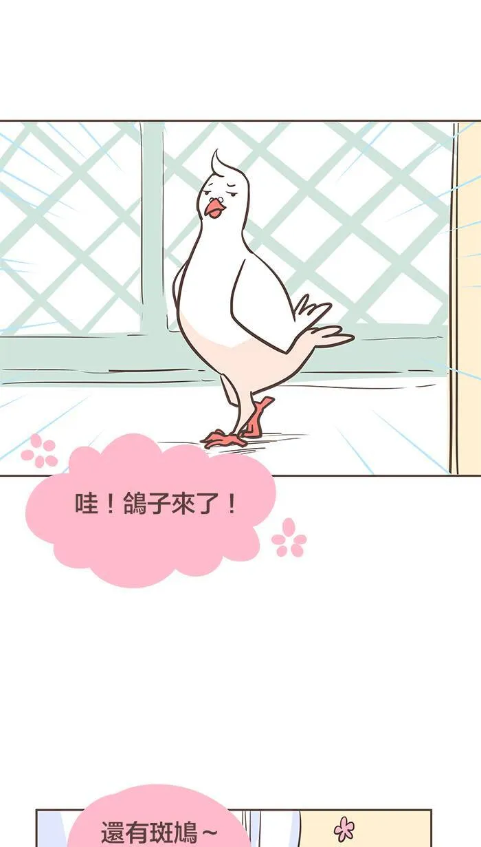 #21 一家之主也是要讨口饭吃的好吗！ 第8页