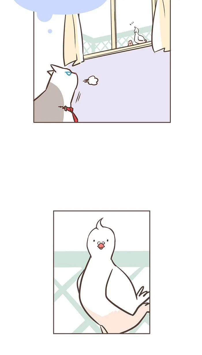 #21 一家之主也是要讨口饭吃的好吗！ 第13页