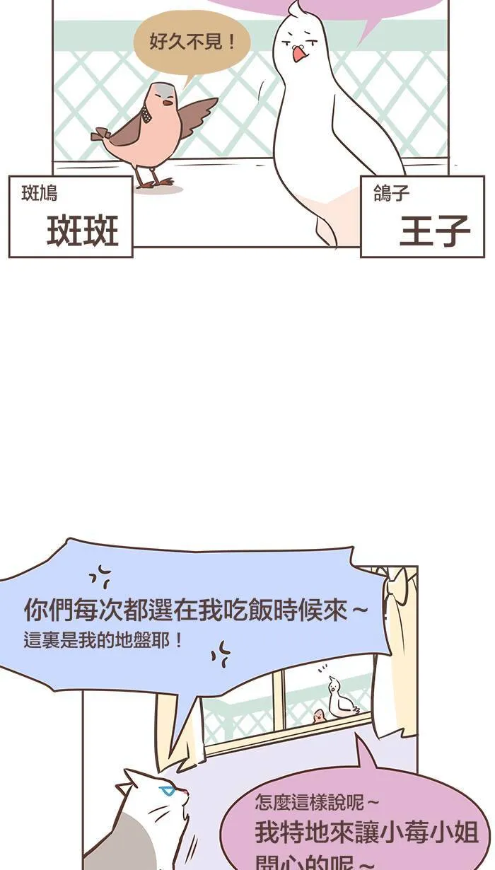 #21 一家之主也是要讨口饭吃的好吗！ 第17页