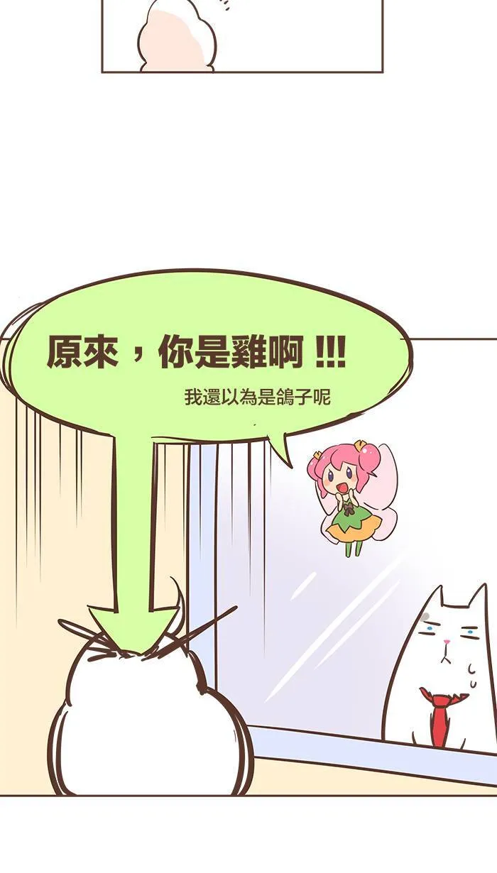 #23 鸽不是胖，只是有点丰腴。 第3页