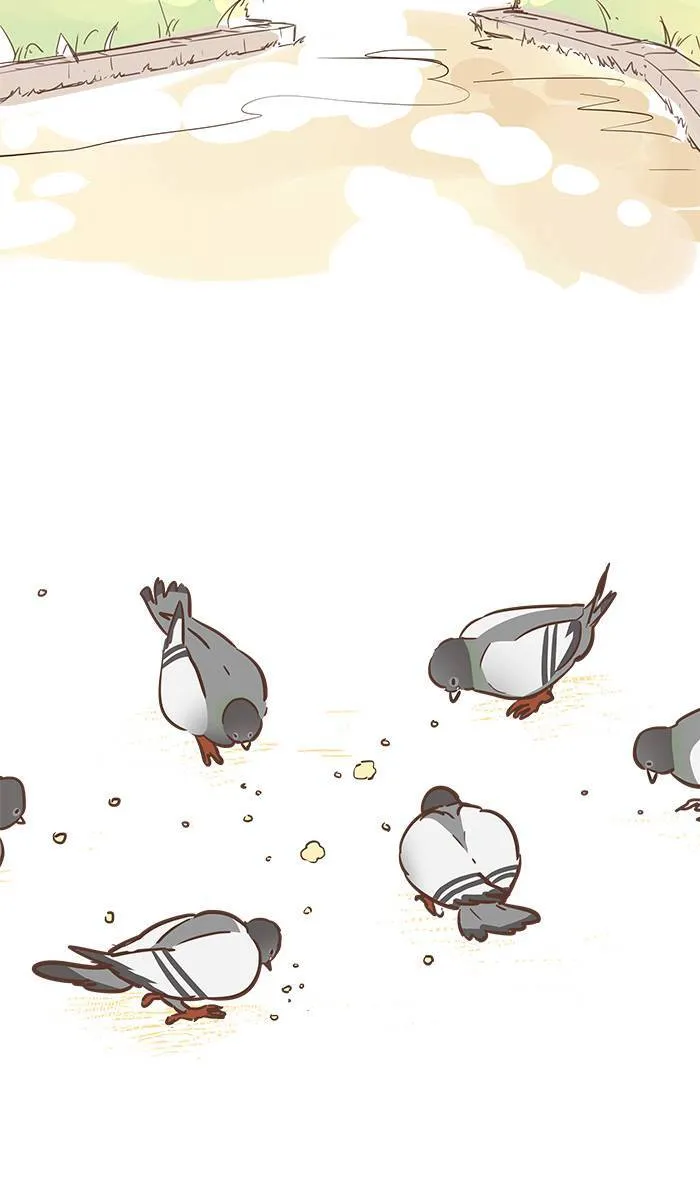 #23 鸽不是胖，只是有点丰腴。 第6页
