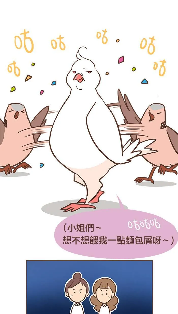 #23 鸽不是胖，只是有点丰腴。 第8页