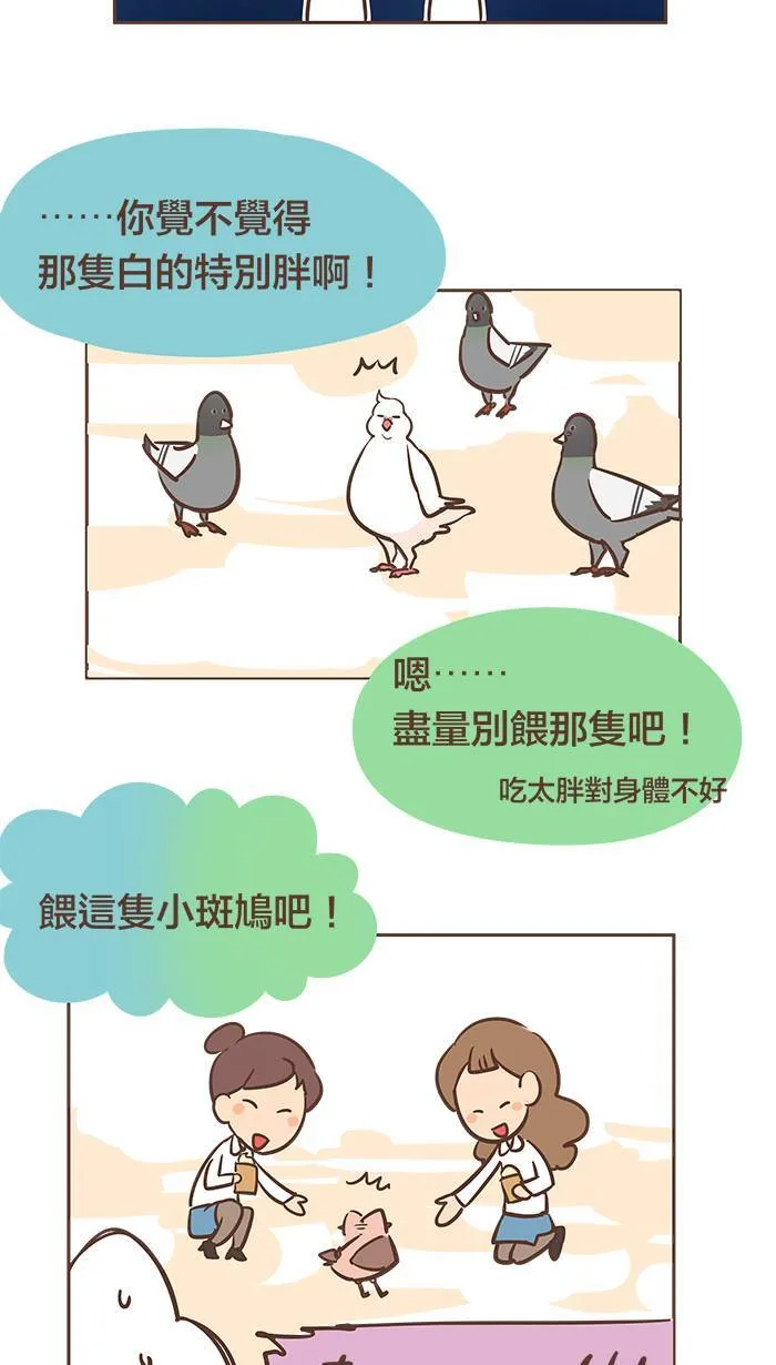 #23 鸽不是胖，只是有点丰腴。 第9页