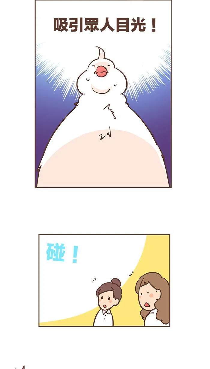 #23 鸽不是胖，只是有点丰腴。 第11页