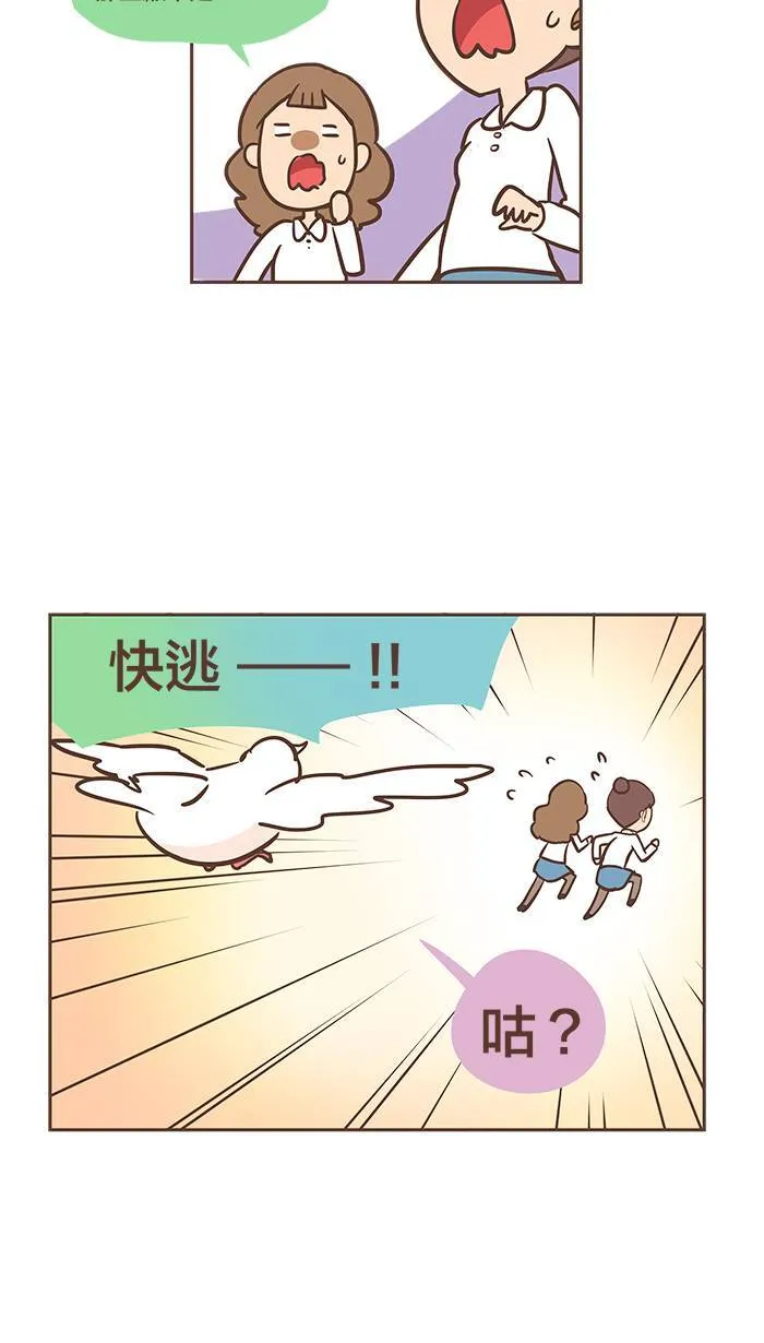 #23 鸽不是胖，只是有点丰腴。 第14页