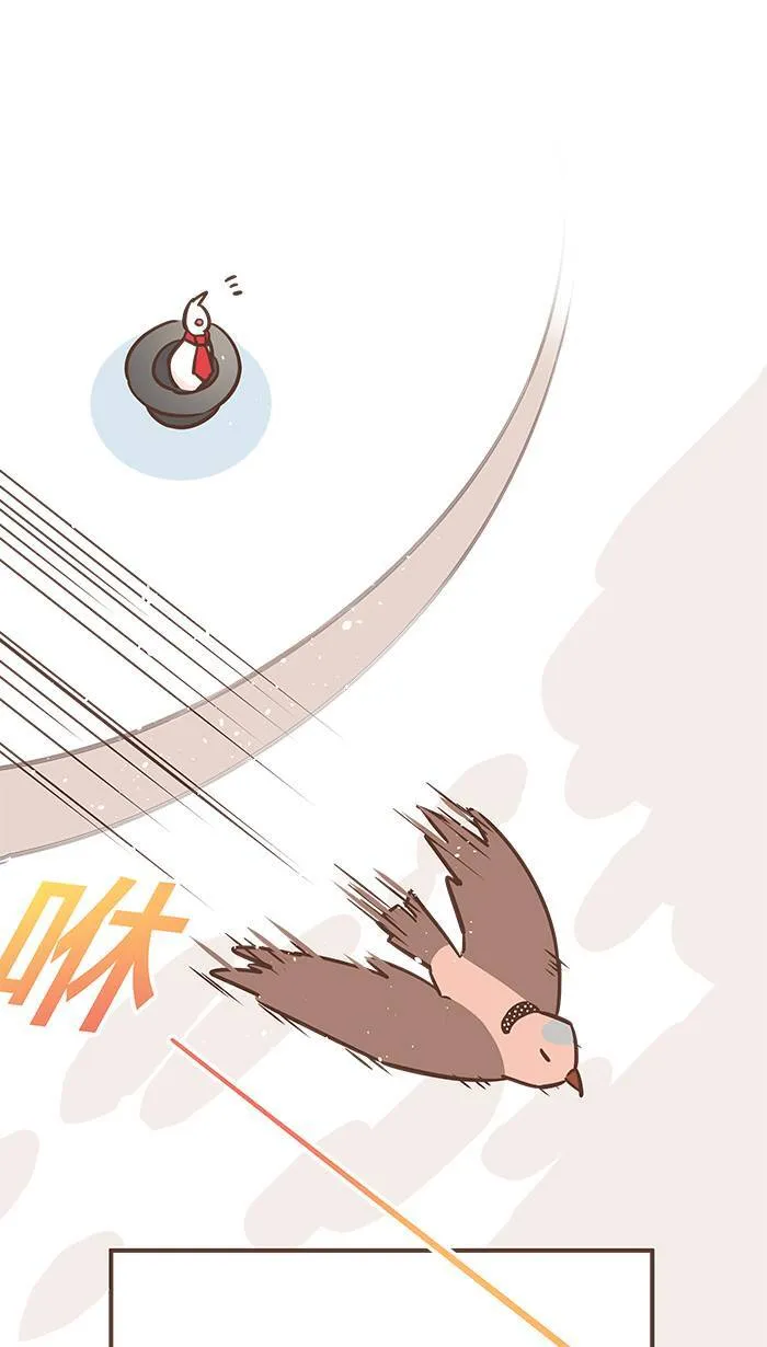 #36 让我们一起将表演做个完美的收尾吧！ 第13页