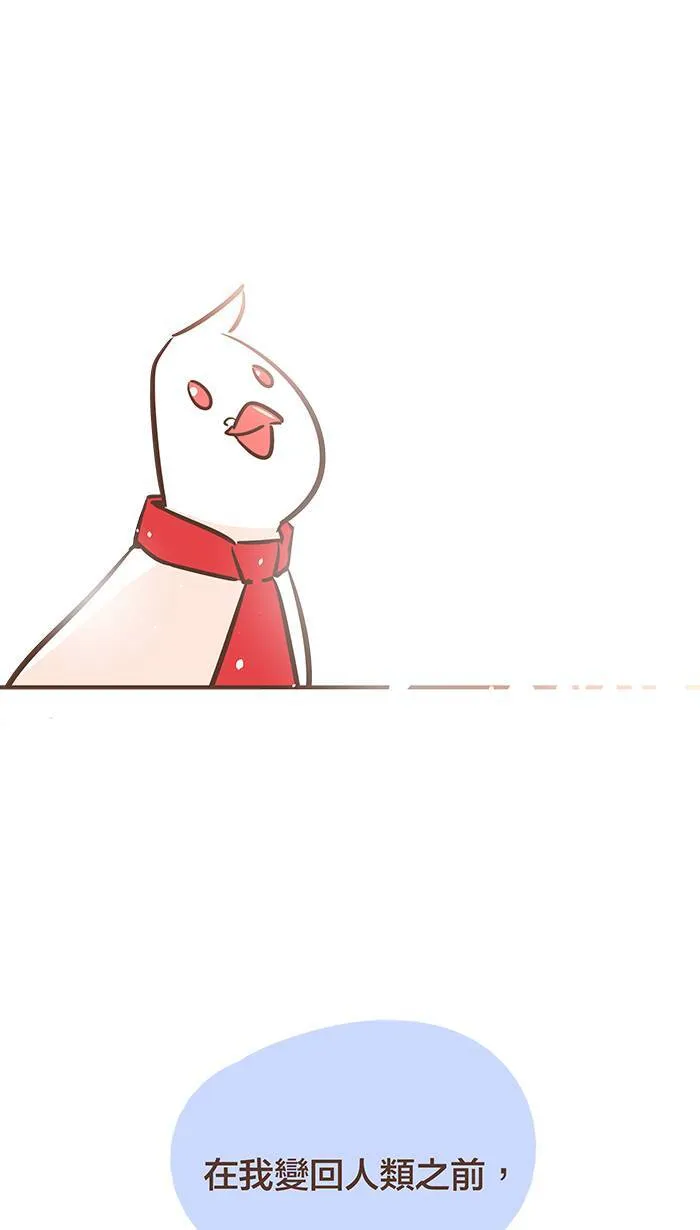 #37 既然是伙伴，就一起冲到终点吧！ 第7页