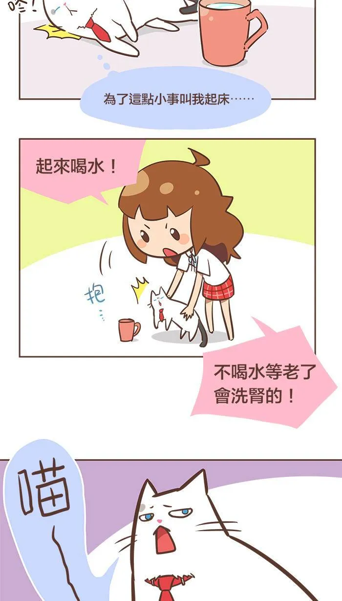 #41 没有水喝的话，不会喝奶茶吗？ 第2页