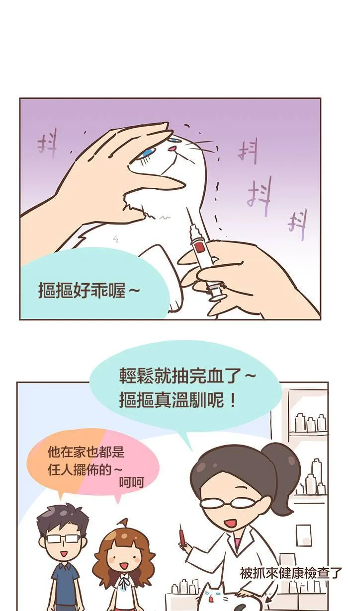 #41 没有水喝的话，不会喝奶茶吗？ 第4页
