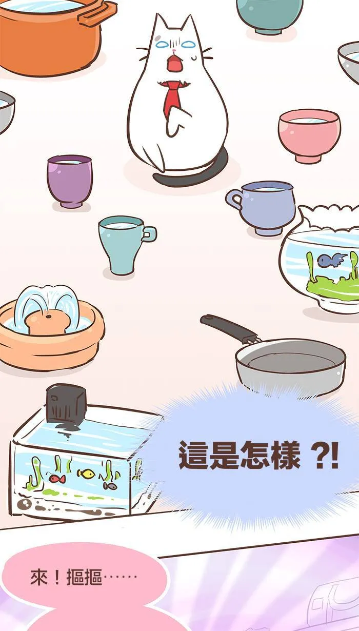 #41 没有水喝的话，不会喝奶茶吗？ 第9页